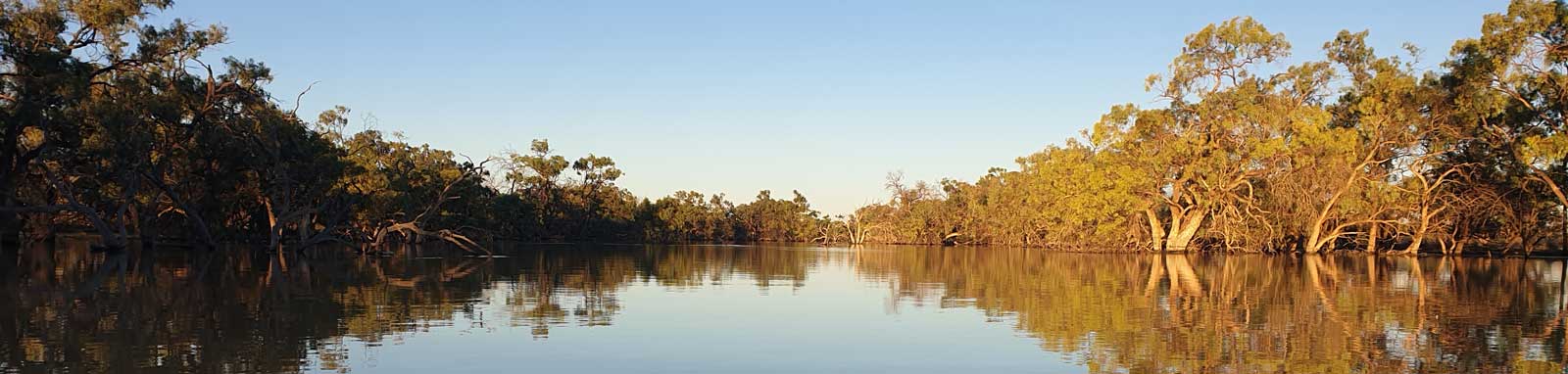 Long lagoon surrounded by trees