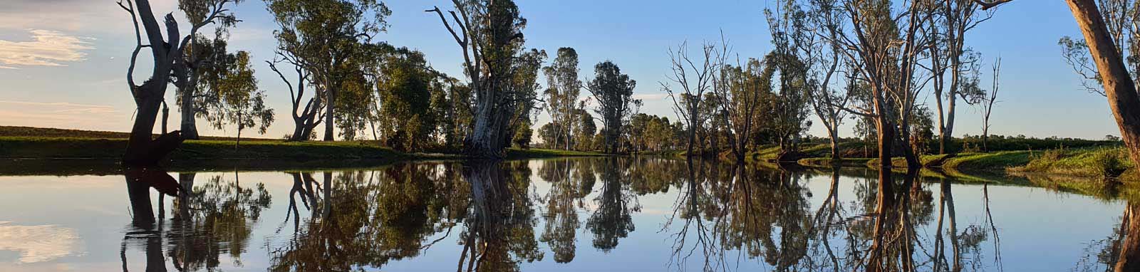 Reflections off the water