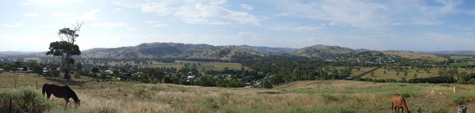 Looking out over the town of Gundagai