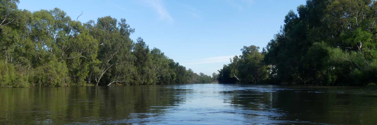 Red Gum Lined River