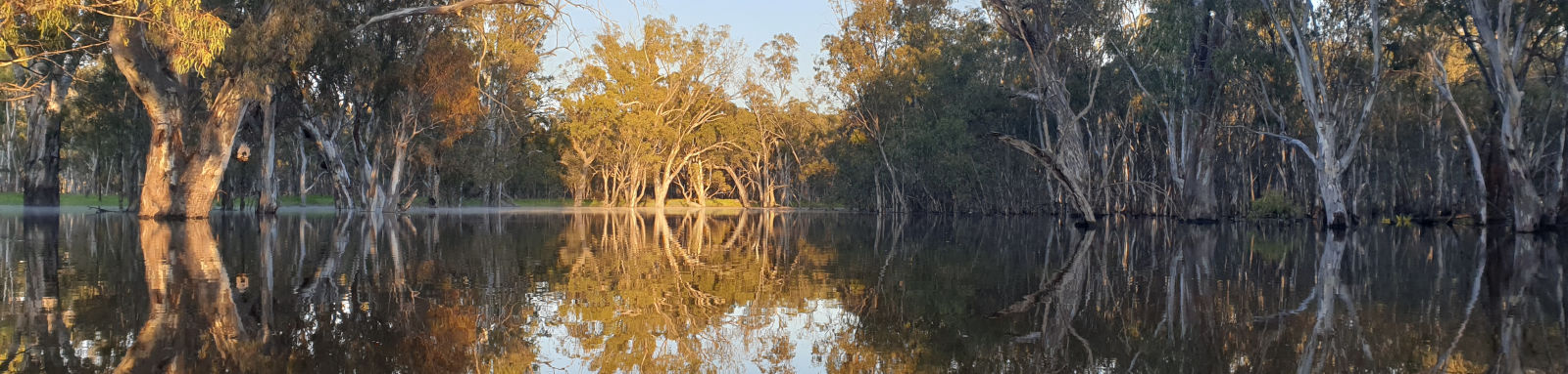 River starting to break its banks