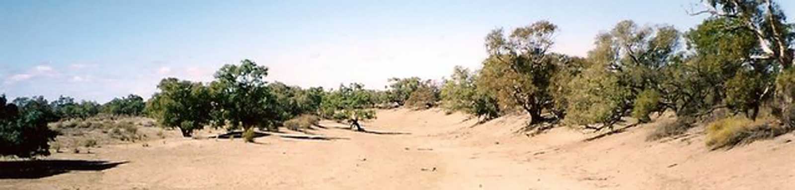 Dry sandy riverbed.