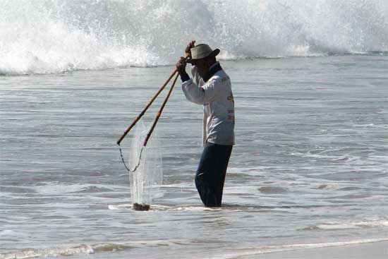 Man using hand net on a beach