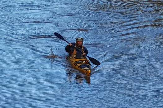 kayaker on the river