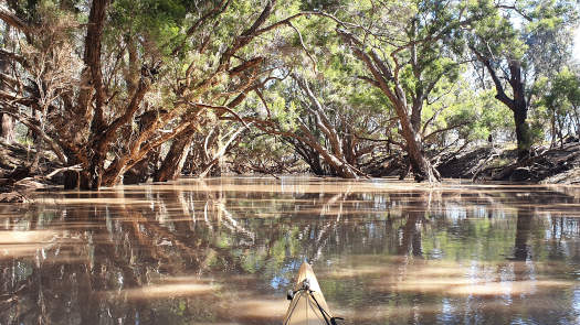 River shaded with trees