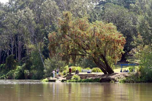 People fishing beside the river