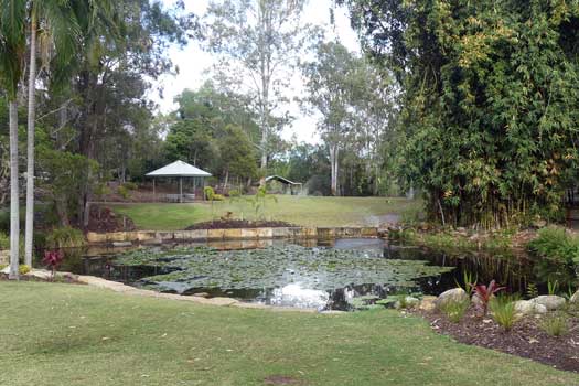 Pond, trees and grass