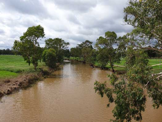 River running through farmland lined by river gums