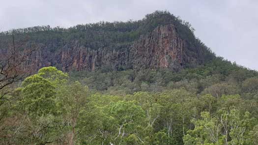 Clifts sticking out of the forest