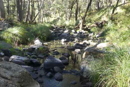 Creek with hardly no flow