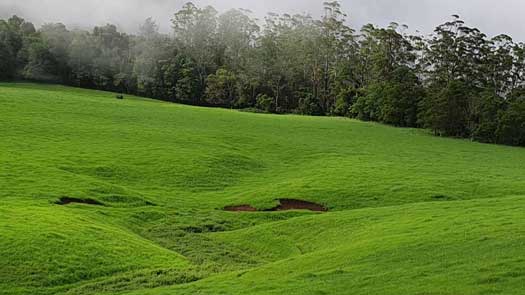 green paddocks with gully