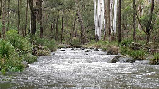 River rapids