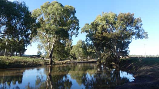 Bridge on slightly flooded river