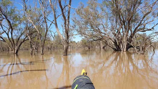 River in flood, banks overflowing with no clear way on what way to go