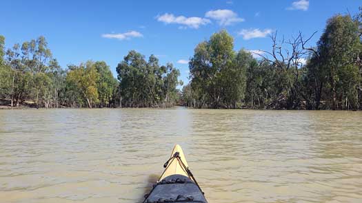 River flowing into tiny gap between trees