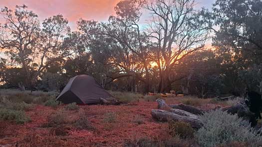 Tent in the bush