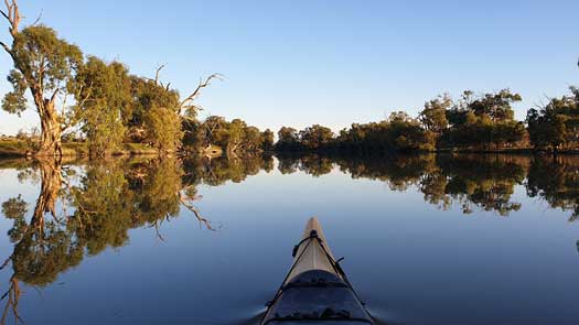 Mirror surface of trees on a river