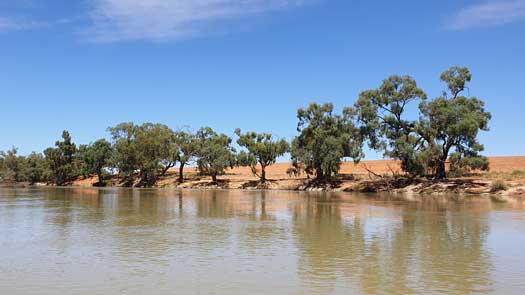 river banks