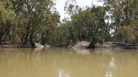 Water leaving the river