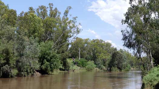 Flowing river