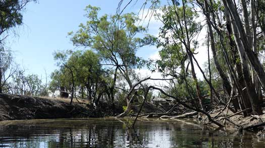 Log Jam in creek