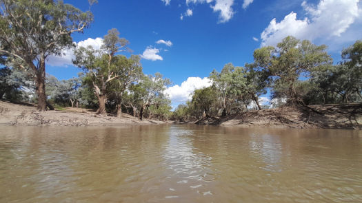 looking up a river