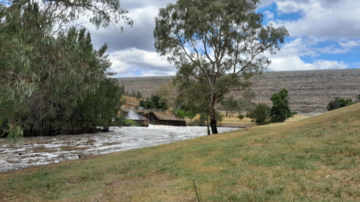 River with dam wall behind it