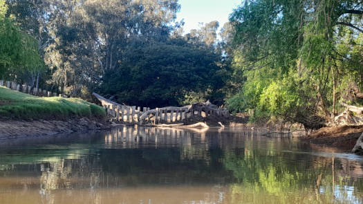 Logs in a creek