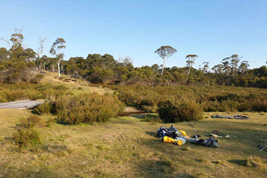 Grassy camp site beside a small creek and bridge.