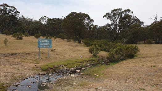 Small stream in grasslands