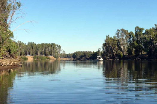 Tree lined river