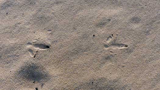 Two footprints