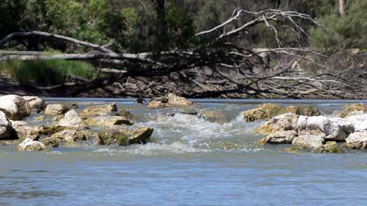 Water running over a small rock dam