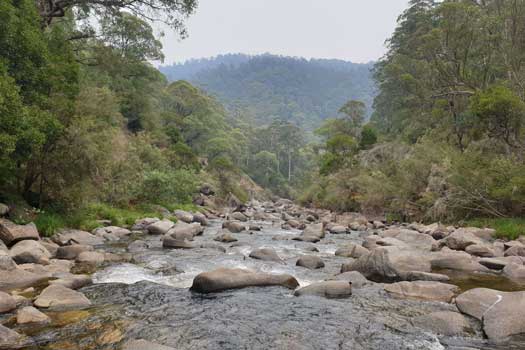 River gorge with more boulders than water.