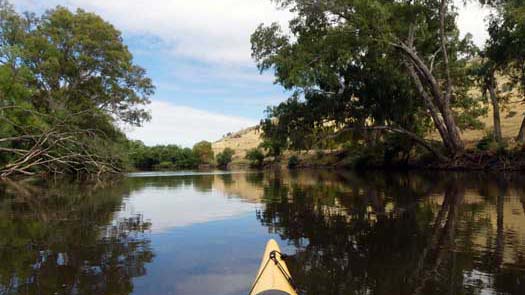 Mirror waters on the river lined with trees