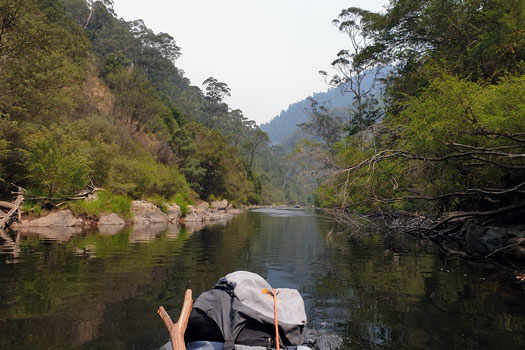 Kayak in a still pool surrounded by forest.