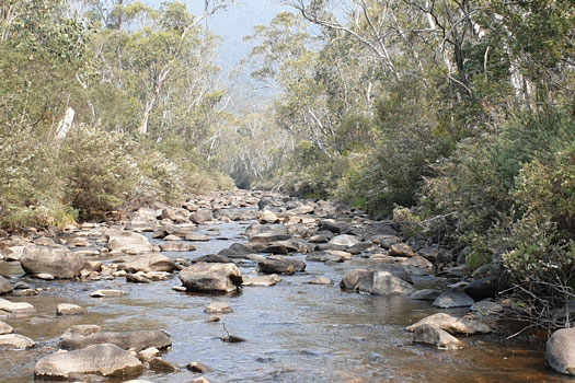 Creek with more large boulders than water.