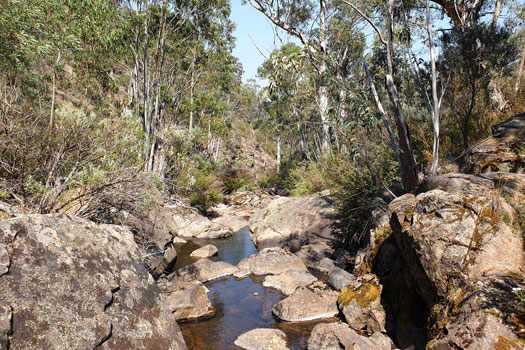 Creek in a small rocky gorge.