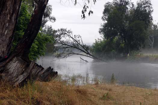 Misty river