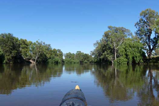 River and trees