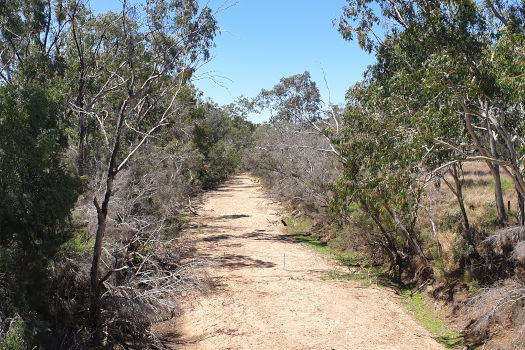 Sandy river bed