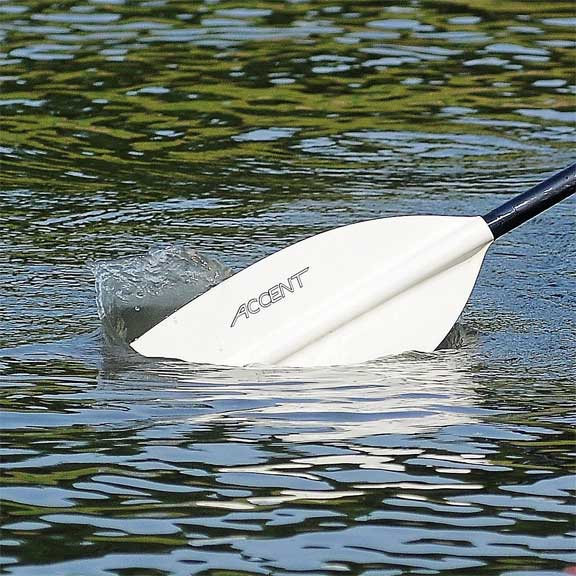 kayak paddle entering the water