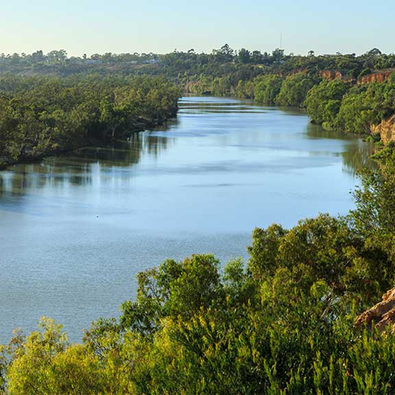 Murray river
